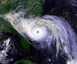 Thumbnail image for hurricane-hugo_100313415_l.jpg